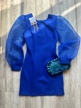 Organza Sleeve Mini Dress