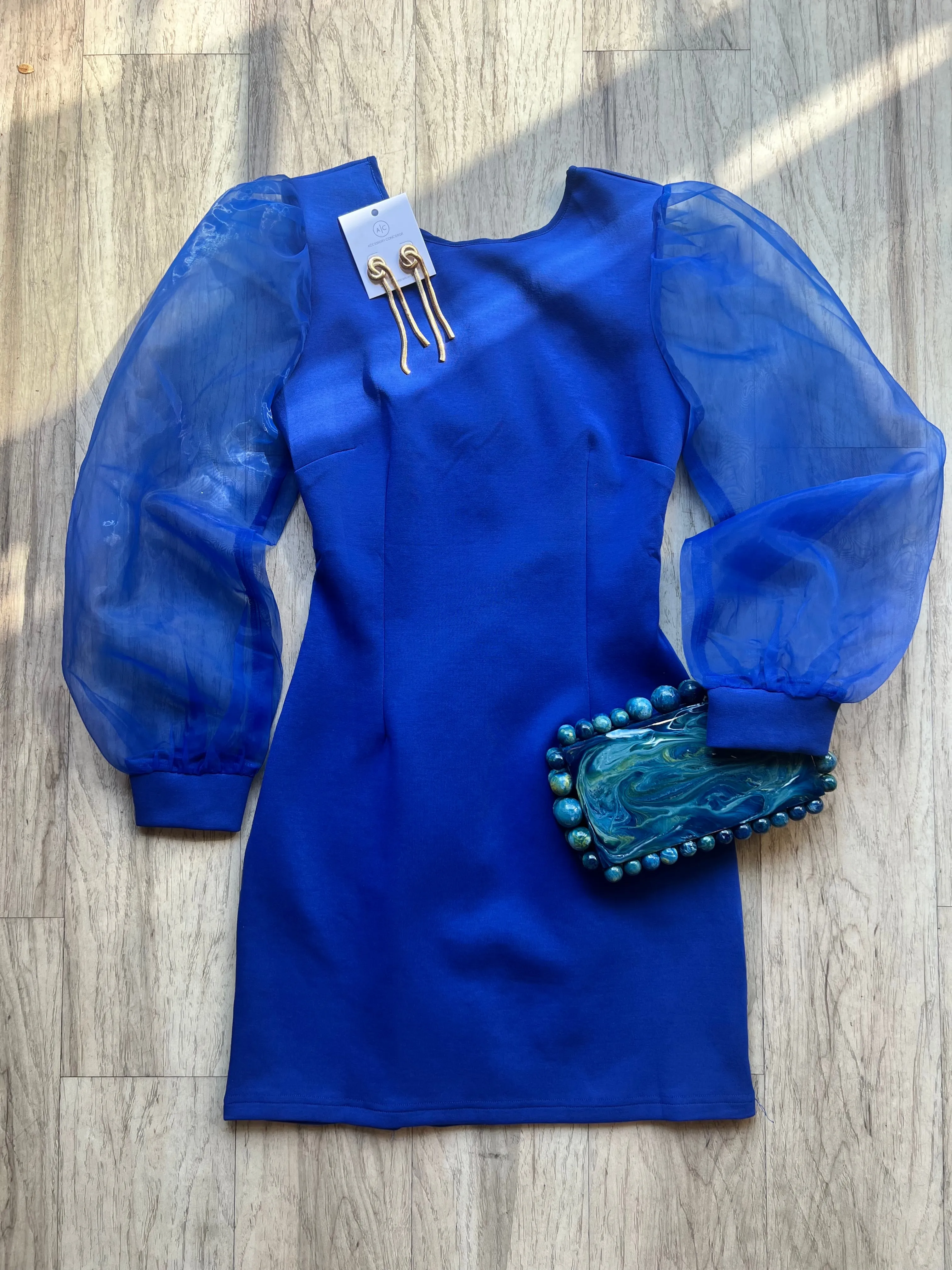 Organza Sleeve Mini Dress